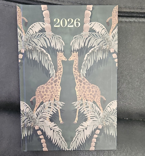 2026 diary daily - 2026,