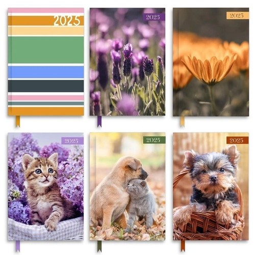 2025 diary week view - 2025, to