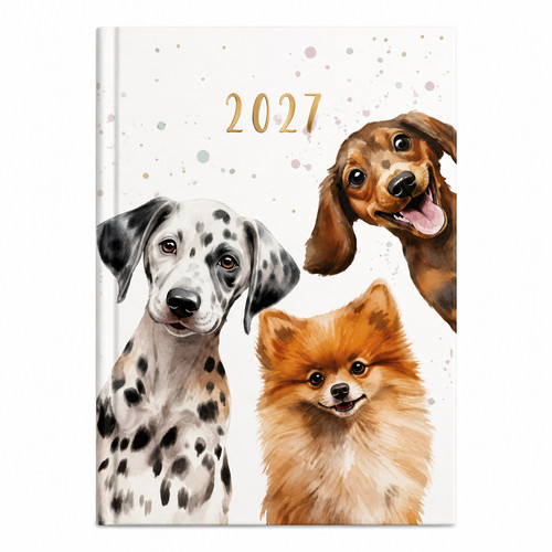 2027 week view - 2027, diary