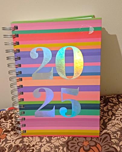 2025 daily diary wirebound - a5,