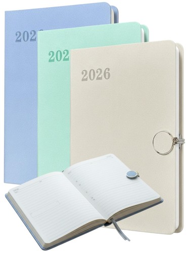 2026 diary day page - a5,